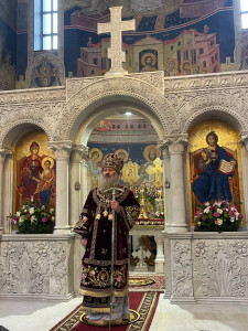 photo_2_2024-12-17_14-00-09