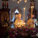 photo_49_2024-12-08_11-18-13