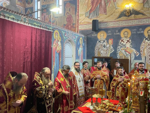 photo_4_2024-12-17_14-00-09