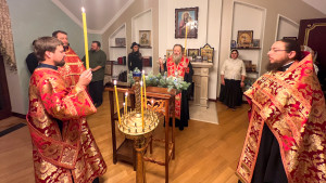 IMG_20250108_175236_468 (1)