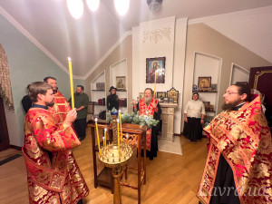 IMG_20250108_175236_468