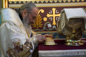 IMG_20250112_103637_537