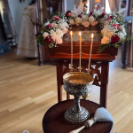 IMG_20250118_110701_746
