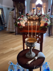 IMG_20250118_110701_746