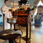 IMG_20250118_110718_417