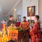 IMG_20250125_095803_421