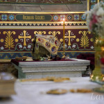 IMG_20250126_114922_350