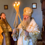IMG_20250127_094454_301