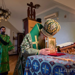 IMG_20250206_102943_073