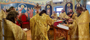 IMG_20250209_083533_290
