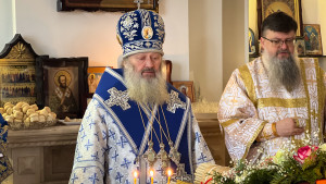 IMG_20250215_100650_379 (1)