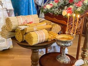 IMG_20250215_100653_453