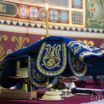 IMG_20250215_114435_461