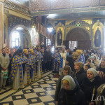 IMG_20250215_114447_642