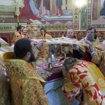 IMG_20250223_111103_562
