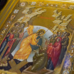 IMG_20250302_092355_185