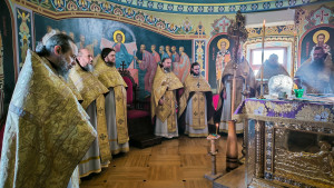 IMG_20250309_105912 (1)