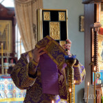 IMG_20250329_175101_353