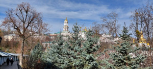 photo_1_2025-03-17_11-49-14