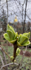 photo_2025-03-16_09-49-51