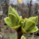 photo_2025-03-16_09-49-51