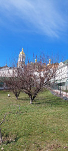 photo_2_2025-03-17_11-49-08