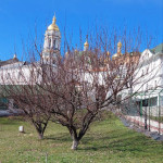 photo_2_2025-03-17_11-49-08