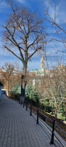 photo_2_2025-03-17_11-49-14