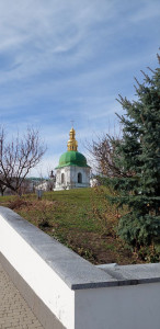 photo_4_2025-03-17_11-49-14