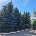 photo_5_2025-03-17_11-49-08