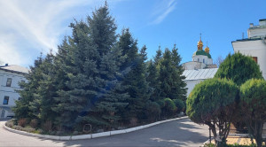 photo_5_2025-03-17_11-49-08