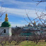 photo_6_2025-03-17_11-49-08