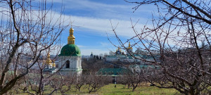 photo_6_2025-03-17_11-49-08