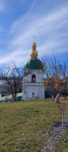 photo_8_2025-03-17_11-49-08