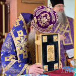 IMG_20250406_110331_444