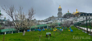 IMG_20250410_163059_453