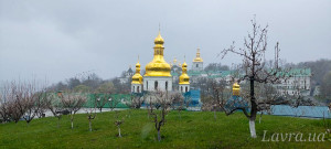 IMG_20250410_163100_333