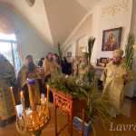 IMG_20250412_180051_313