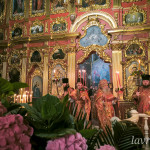 IMG_20250420_103819
