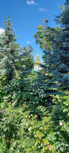 IMG_20250531_133521_784