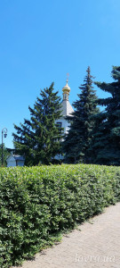 IMG_20250531_133521_924