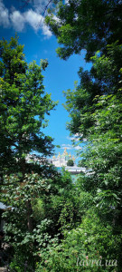 IMG_20250531_133522_117
