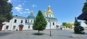 IMG_20250531_133522_254