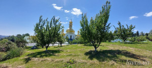 IMG_20250531_133532_358