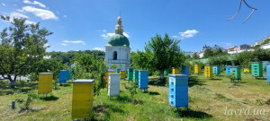 IMG_20250531_133532_573