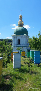 IMG_20250531_133532_642