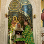 IMG_20250608_133712_323 (1)