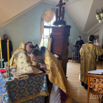 IMG_20250629_100142_159