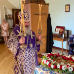 IMG_20250813_183531_742 (1)