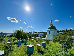 IMG_20250825_110655_872